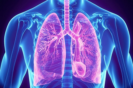 Image: The blood test analyzes 32 proteins to predict the risk for developing severe respiratory conditions (Photo courtesy of Adobe Stock)